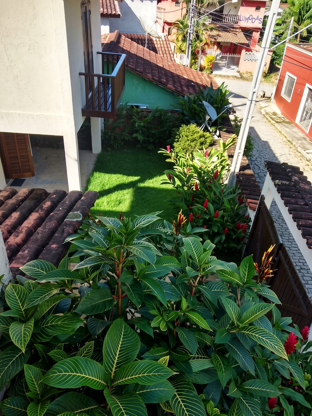 Jardim interno da pousada, cercado de vegetação